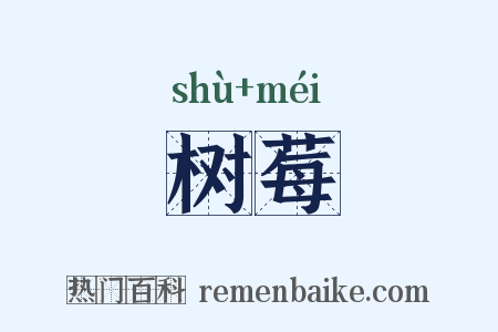 树莓是什么意思的图片